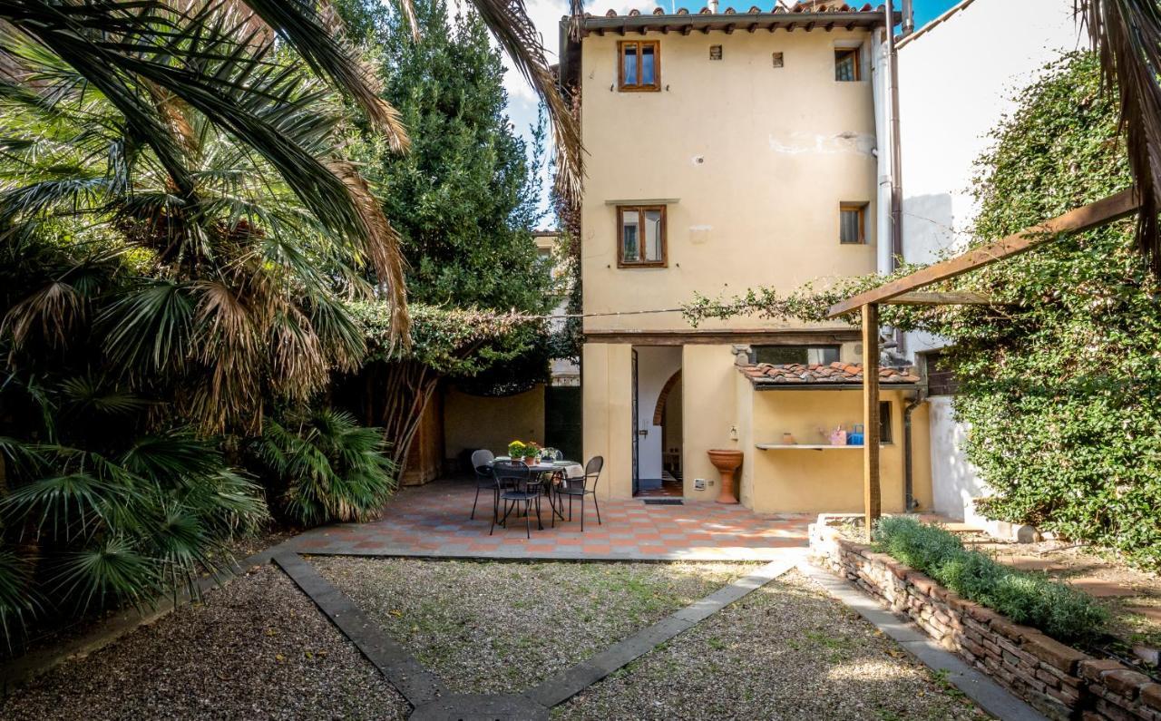 Acacia - Palma Firenze